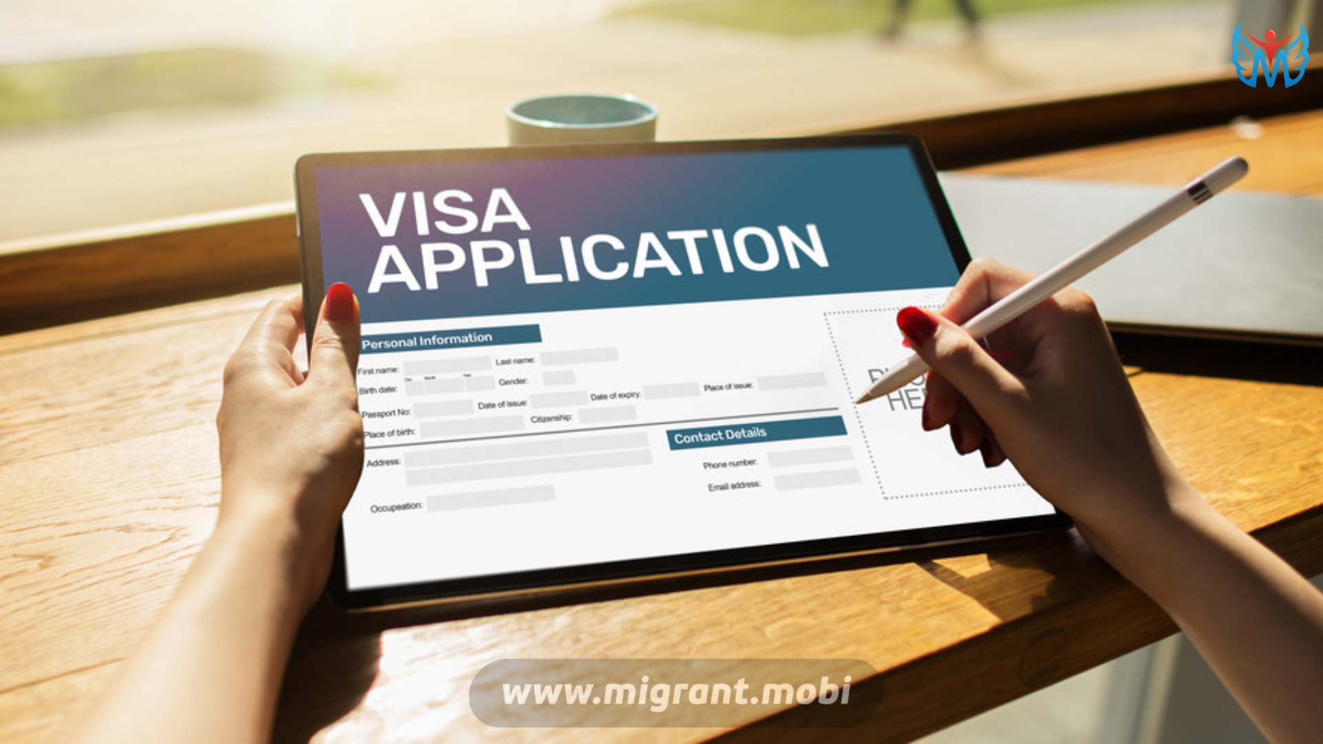 Visa app. Электронная виза. E-visa. E-ex visa.
