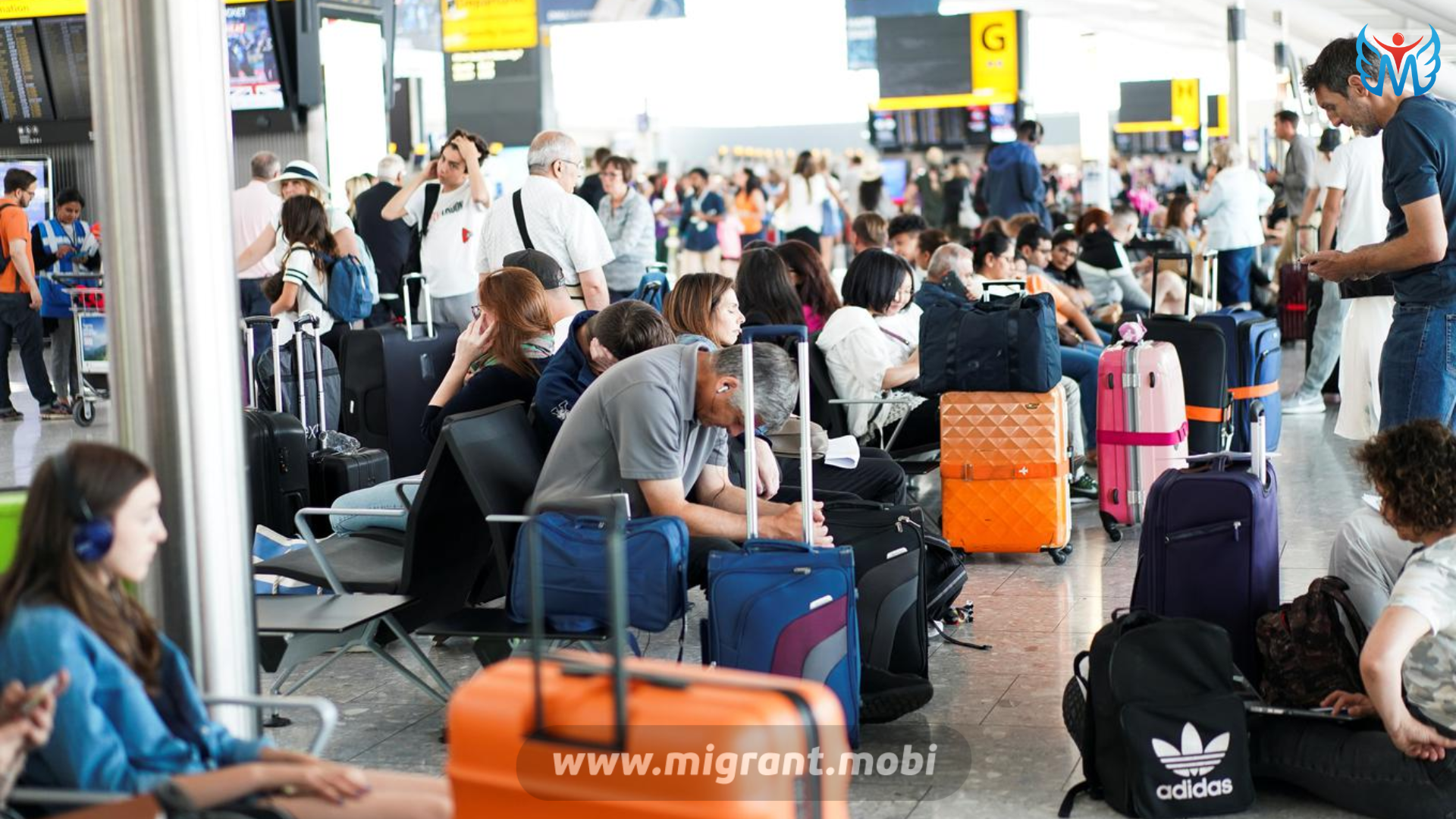Депортация в аэропорту домодедово